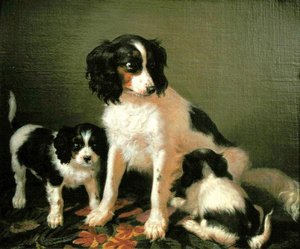 Un épagneul avec deux chiots