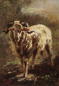 Chèvre - Filippo Palizzi