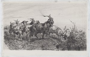 Enfants près d