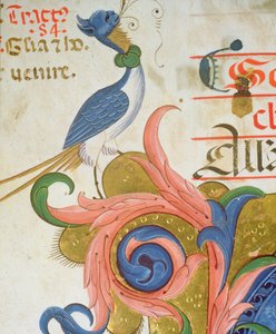 Missel 515 f.28v Oiseau fantastique avec tête humaine (détail d
