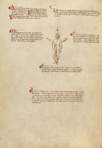 Points de visée sur le corps - Fiore Furlan dei Liberi da Premariacco