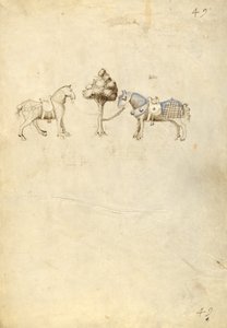 Deux chevaux