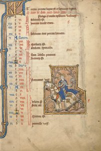 MS 14 f.5, Mai : Fauconnerie