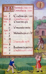 Fauchage de l