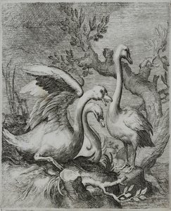 Gravure de maître ancien - Flemish School