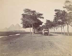Caire. Allée de Pyramides - Félix Bonfils