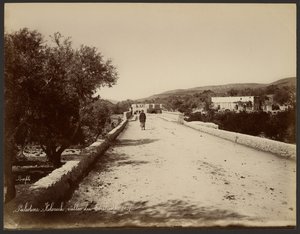 Palestine - Kolonick, vallée du Térébinthe