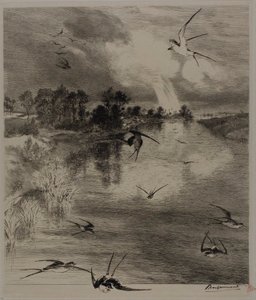 Hirondelles - Félix Henri Bracquemond
