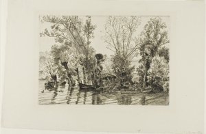 Les saules de Mottiaux - Félix Henri Bracquemond