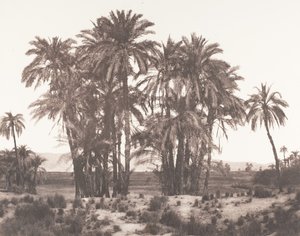 Karnak, Groupe de Dattiers Vu du Point A, 1851-52, imprimé 1853-54