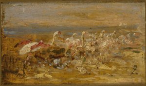 Flamants roses, 2e moitié du 19e siècle