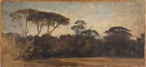Pins parasols près de Naples, vers 1847