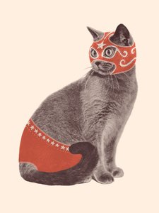 Lutteur de chat