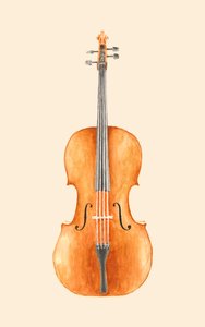 Violoncelle