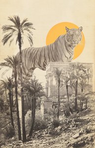 Tigre géant dans les ruines et les palmiers