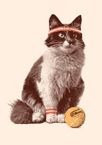 Chat de tennis, 2021 - Florent Bodart