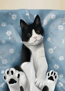 Adorable chat en smoking - Flow Line