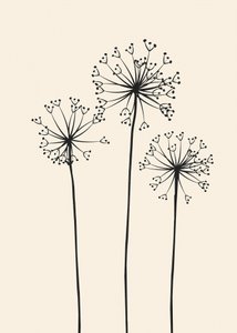 Fleurs de pissenlit minimalistes - Flow Line