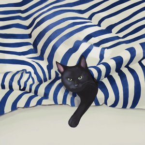 Le chat noir qui jette un coup d