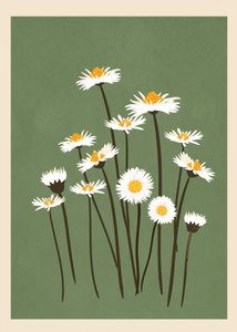 Des marguerites blanches sur fond vert - Flow Line