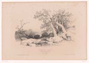 Paysage rocheux avec eau et deux cerfs (Cours de dessin. Paysages, figures, animaux, accessoires, par Férogio)