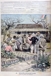 Leçon agricole pour les indigènes de Madagascar, 1897