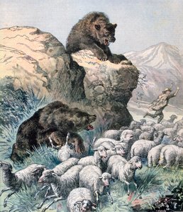 Les ours du Cagyre, 1891 - Fortuné Méaulle