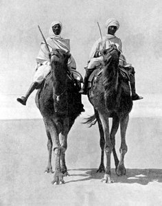 Deux Arabes à dos de chameaux dans le désert du Sahara, Afrique, 1936