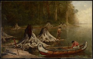 Reliques de la forêt primitive, Canada, 1885