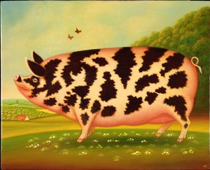 Le cochon Old Spot
