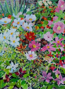 Profusion d