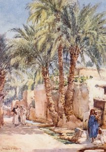 Le village des palmiers - Frances Nesbitt