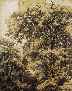 Forêt de Fontainebleau