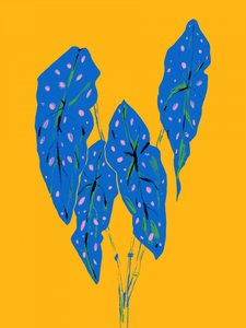  - Francesco Gulina