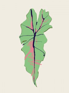  - Francesco Gulina