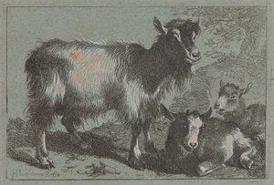 Chèvre et deux chevreaux - Francesco Londonio