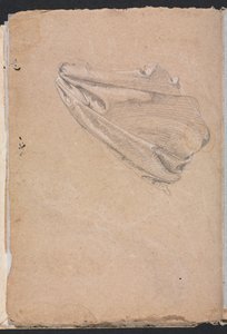 Carnet de croquis de Vérone : Étude de draperie (page 6)