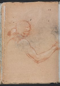 Carnet de croquis de Vérone : Nu avec tête et bras droit (page 36)
