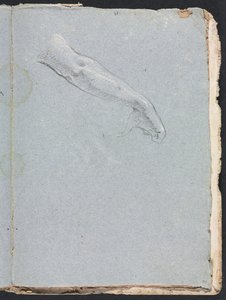 Carnet de croquis de Vérone : Bras et main droits (page 95) - Francesco Lorenzi