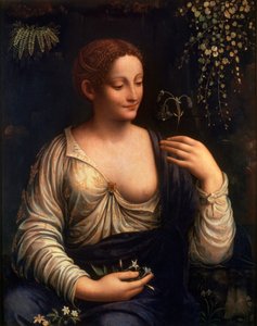 Flore, vers 1510-1515 - Francesco Melzi