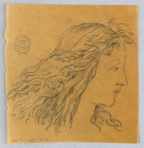 Esquisse de tête de femme de profil