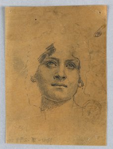 Esquisse du visage d