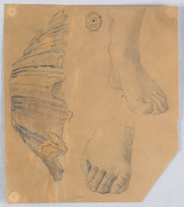 Études de pieds et une coquille cannelée - Francis Augustus Lathrop