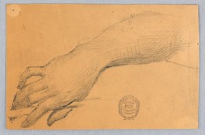 Étude de la main et du poignet