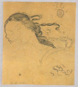 Étude de cheveux de femme
