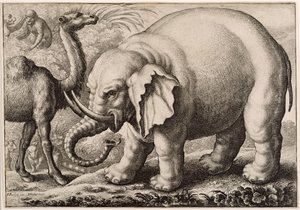 Un éléphant et un chameau, gravé par Wenceslaus Hollar (1607-77) 1663