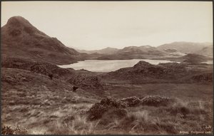 Arthog, lac Creigenen