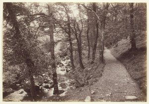 Dolgelley, Vue dans Torrent Walk