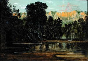 Un Paysage Boisé au Coucher du Soleil