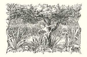 Merrie England : Robin Goodfellow (lithographie) - Francis Donkin Bedford